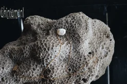 Baroque Pearl Pendant