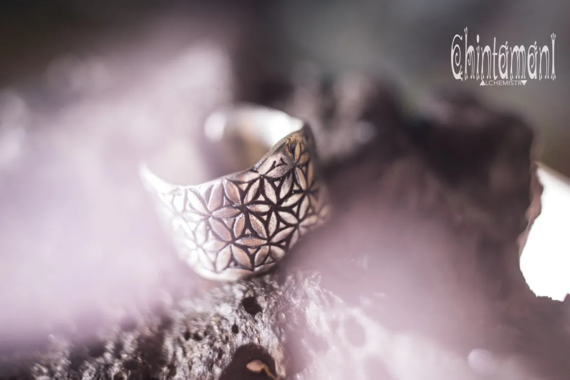 Life Power Ring Silver