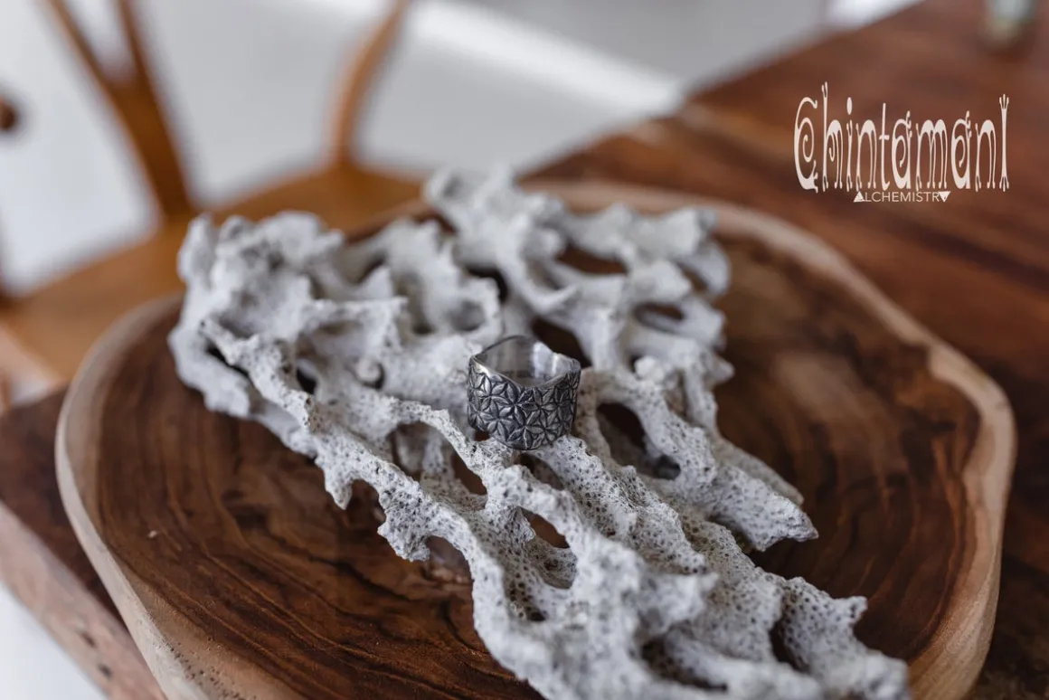 Life Power Ring Silver